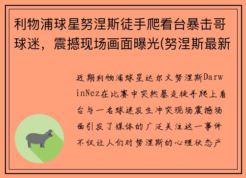 利物浦球星努涅斯徒手爬看台暴击哥球迷，震撼现场画面曝光(努涅斯最新比赛)